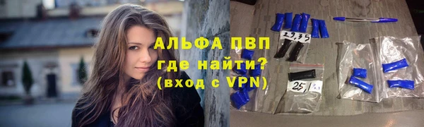 a pvp Ельня