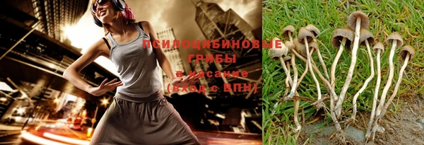 a pvp Ельня