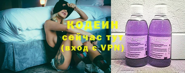 a pvp Ельня