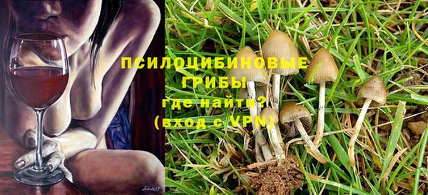 a pvp Ельня