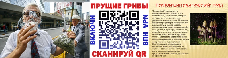 Купить  Оха  Галлюциногенные грибы мицелий 
